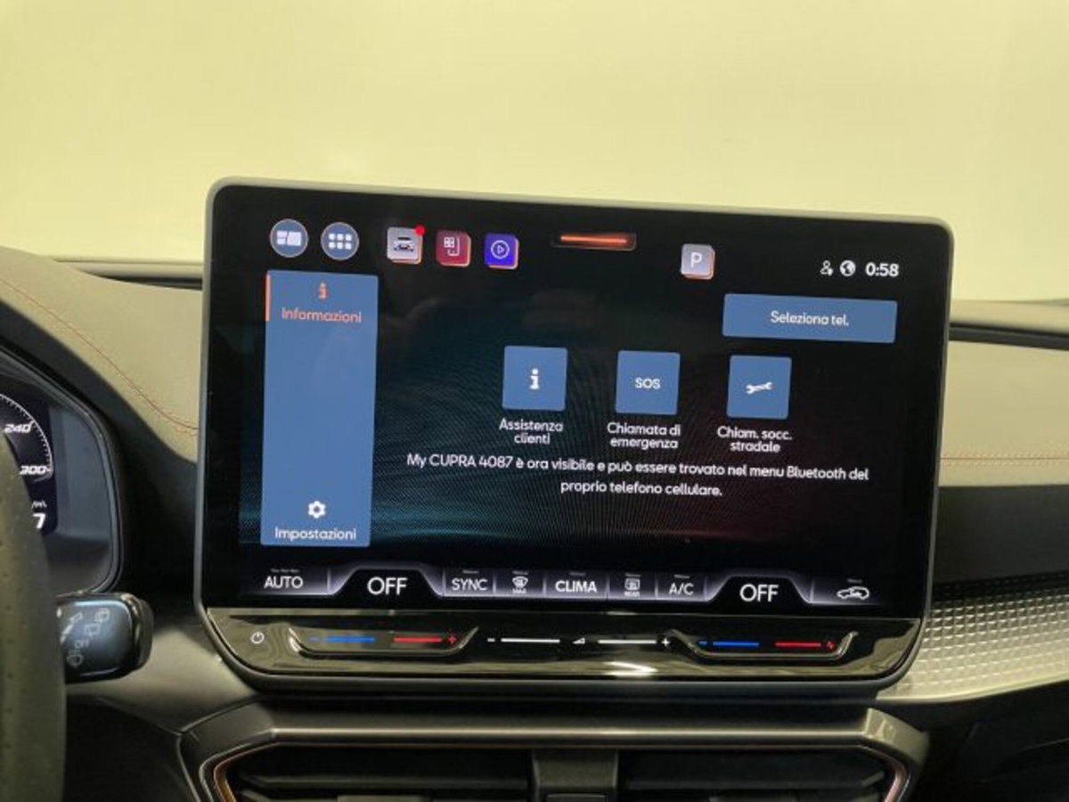 Cupra Formentor Formentor 2.0 TDI (9)