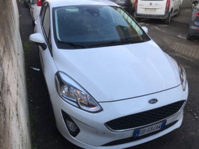 Ford Fiesta 1.5 EcoBlue 5 porte Business High usata