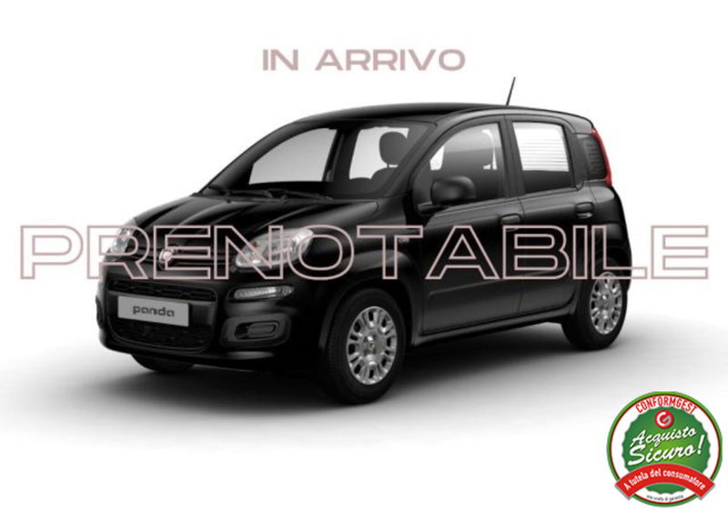 Fiat Pandina 1.0 firefly hybrid Icon s&s 65cv