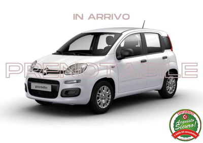 Fiat Pandina 1.0 firefly hybrid Icon s&s 65cv nuova