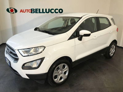 Ford EcoSport 1.0 EcoBoost 125 CV Plus usata