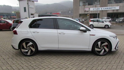 Volkswagen Golf GTI Performance 2.0 245 CV TSI DSG 5p. BMT (6)