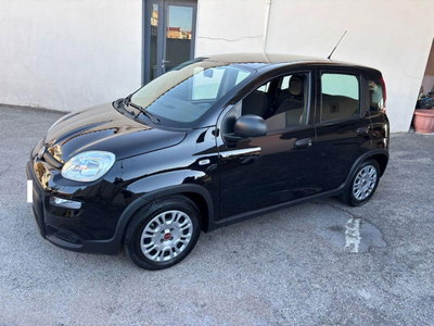 Fiat Panda 1.0 FireFly S&S Hybrid City Cross usata