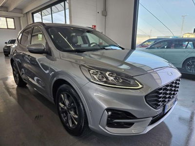 Ford Kuga 2.0 EcoBlue 190 CV aut. AWD ST-Line X usata