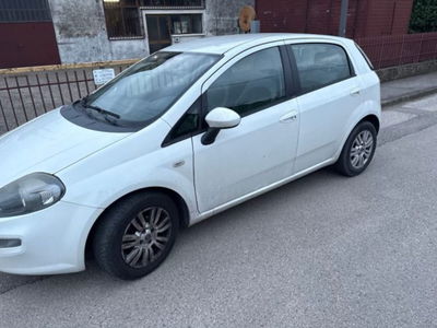 Fiat Punto 1.3 MJT II 75 CV 5 porte Lounge usata
