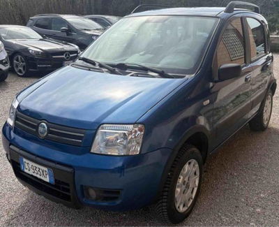 Fiat Panda 1.2 4x4 Climbing usata