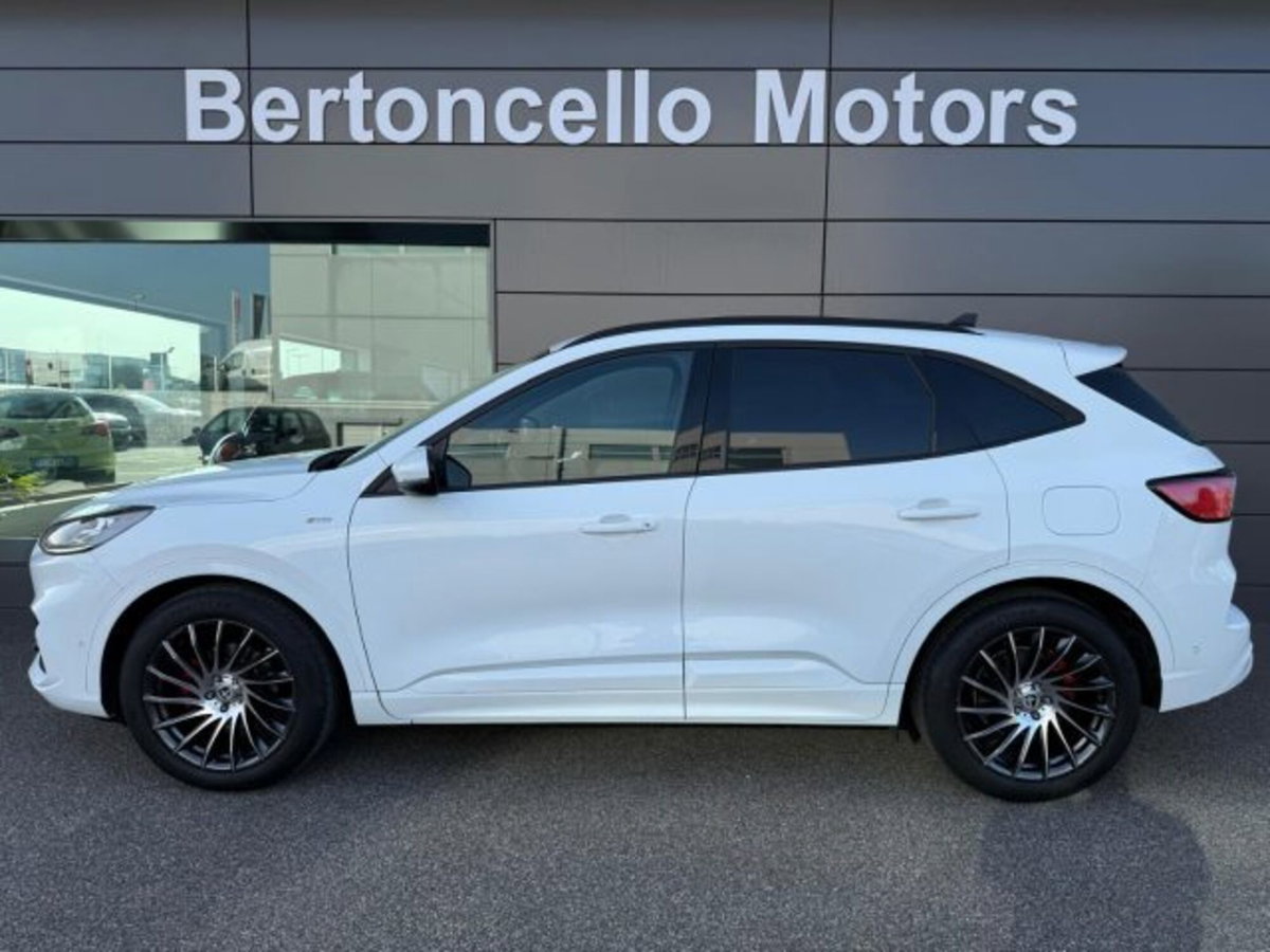 Ford Kuga 1.5 EcoBlue 120 CV aut. 2WD ST-Line X (3)