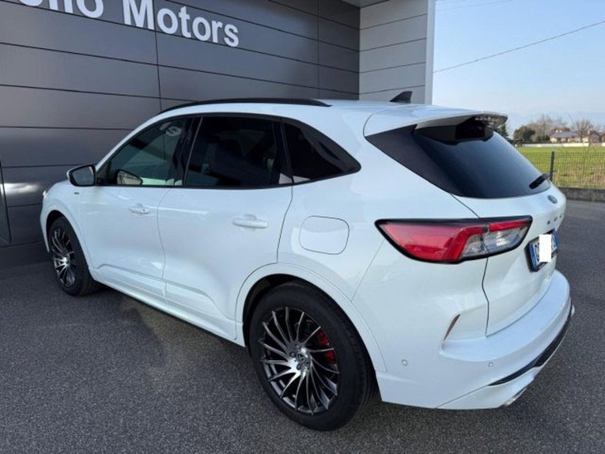 Ford Kuga 1.5 EcoBlue 120 CV aut. 2WD ST-Line X (4)