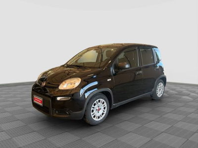 Fiat Panda 1.0 firefly hybrid Pop s&s 70cv usata