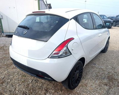 Lancia Ypsilon 1.2 69 CV 5 porte GPL Ecochic Elefantino (3)