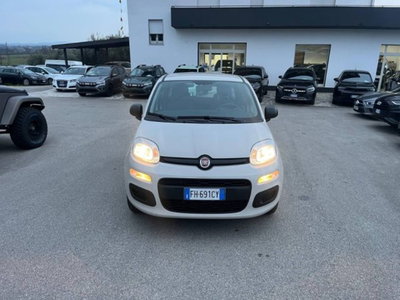 Fiat Panda 1.2 Easy usata