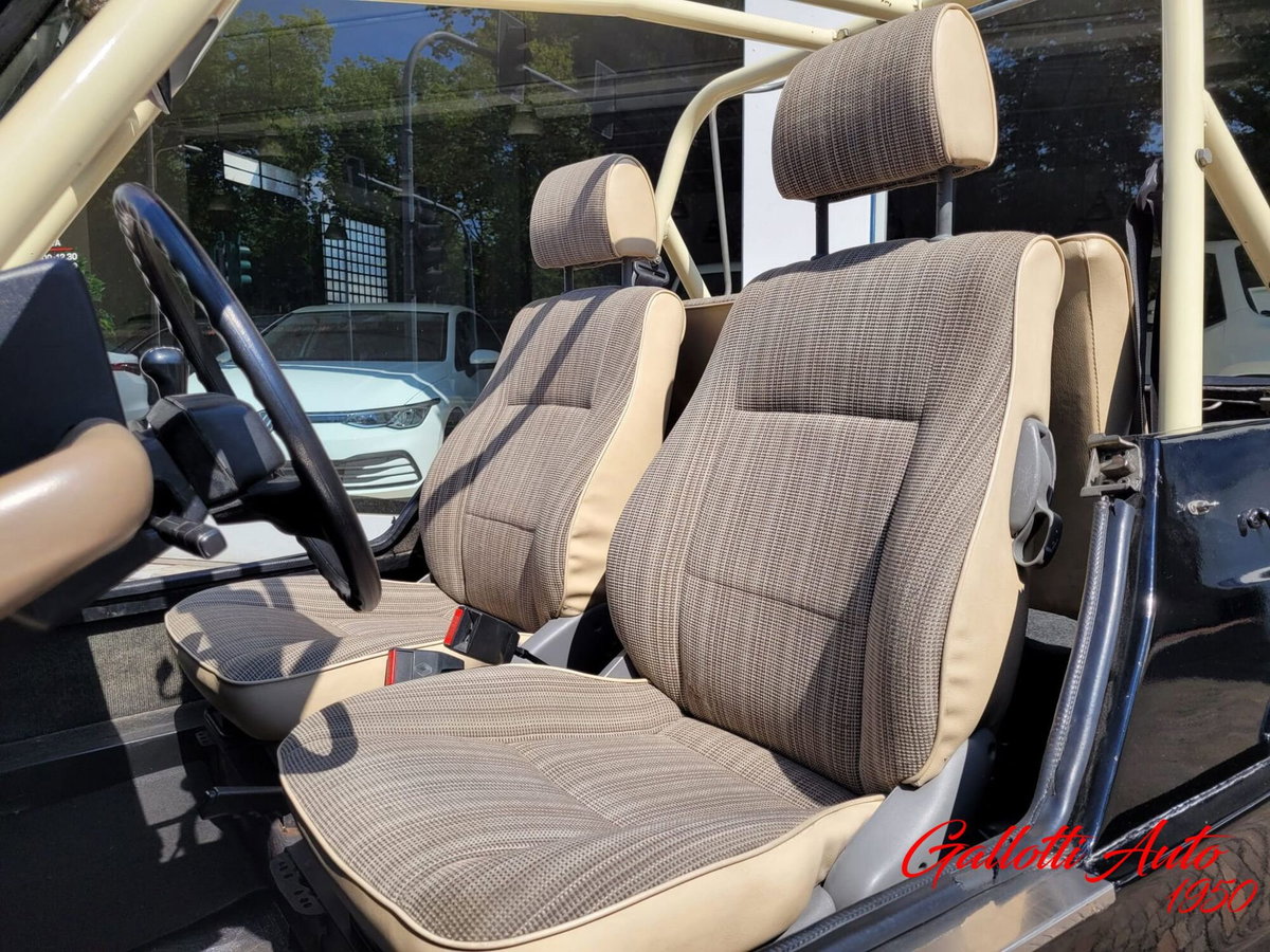 Renault 4 Cabrio Frog (11)