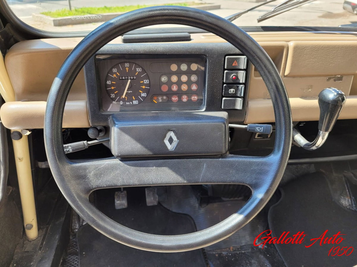 Renault 4 Cabrio Frog (12)