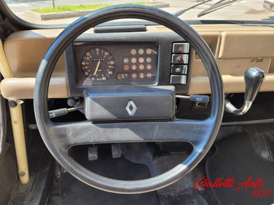Renault 4 Cabrio Frog (12)