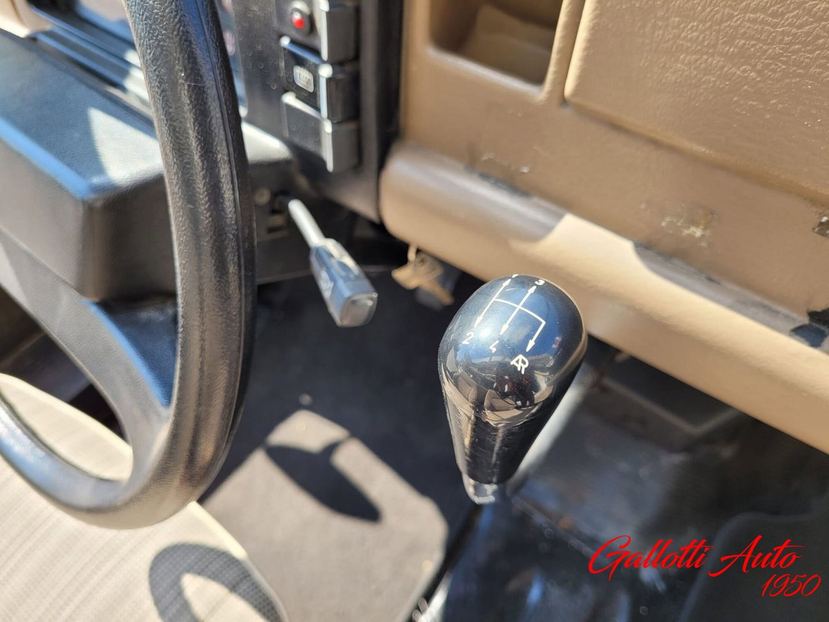 Renault 4 Cabrio Frog (13)