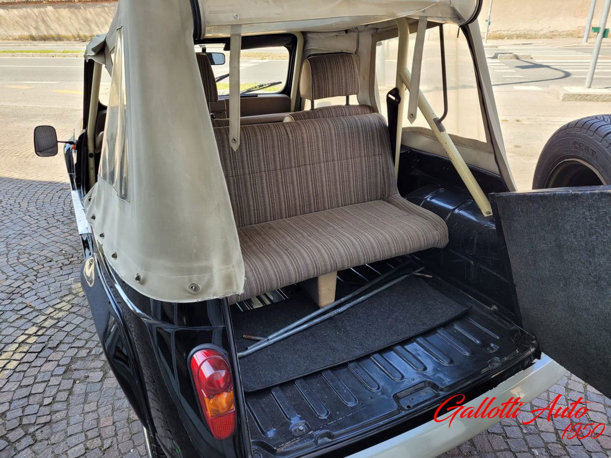 Renault 4 Cabrio Frog (14)