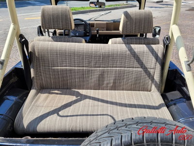Renault 4 Cabrio Frog (15)