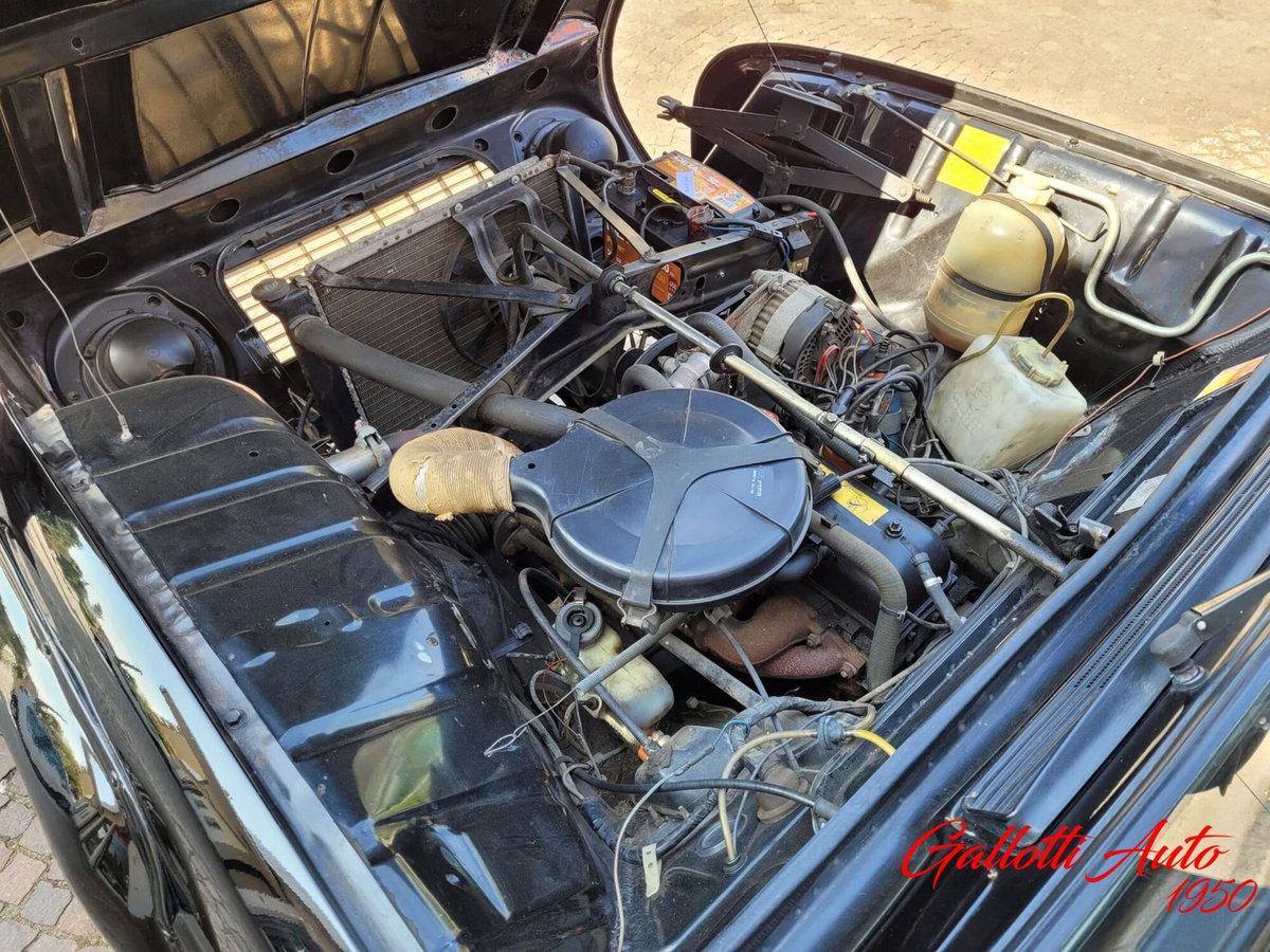 Renault 4 Cabrio Frog (17)