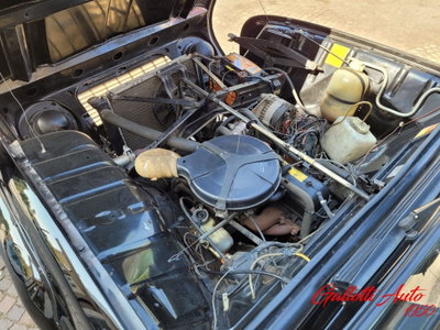 Renault 4 Cabrio Frog (17)