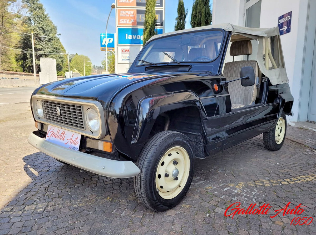 Renault 4 Cabrio Frog (19)