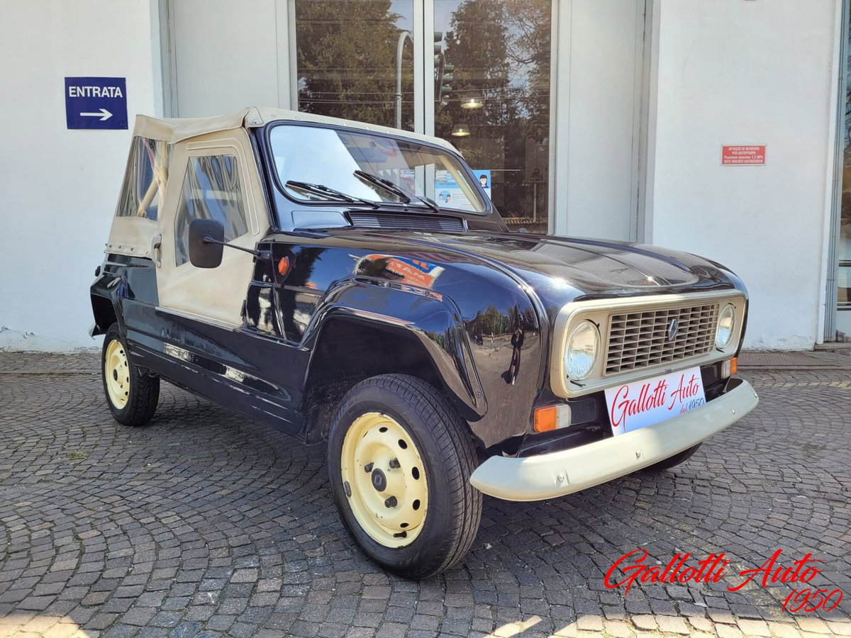Renault 4 Cabrio Frog (3)