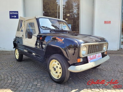 Renault 4 Cabrio Frog (3)