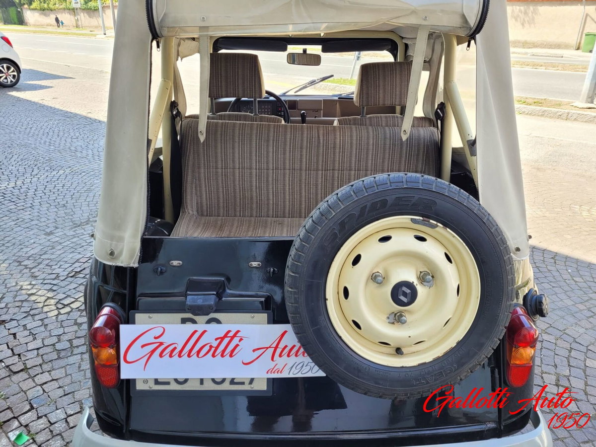 Renault 4 Cabrio Frog (5)