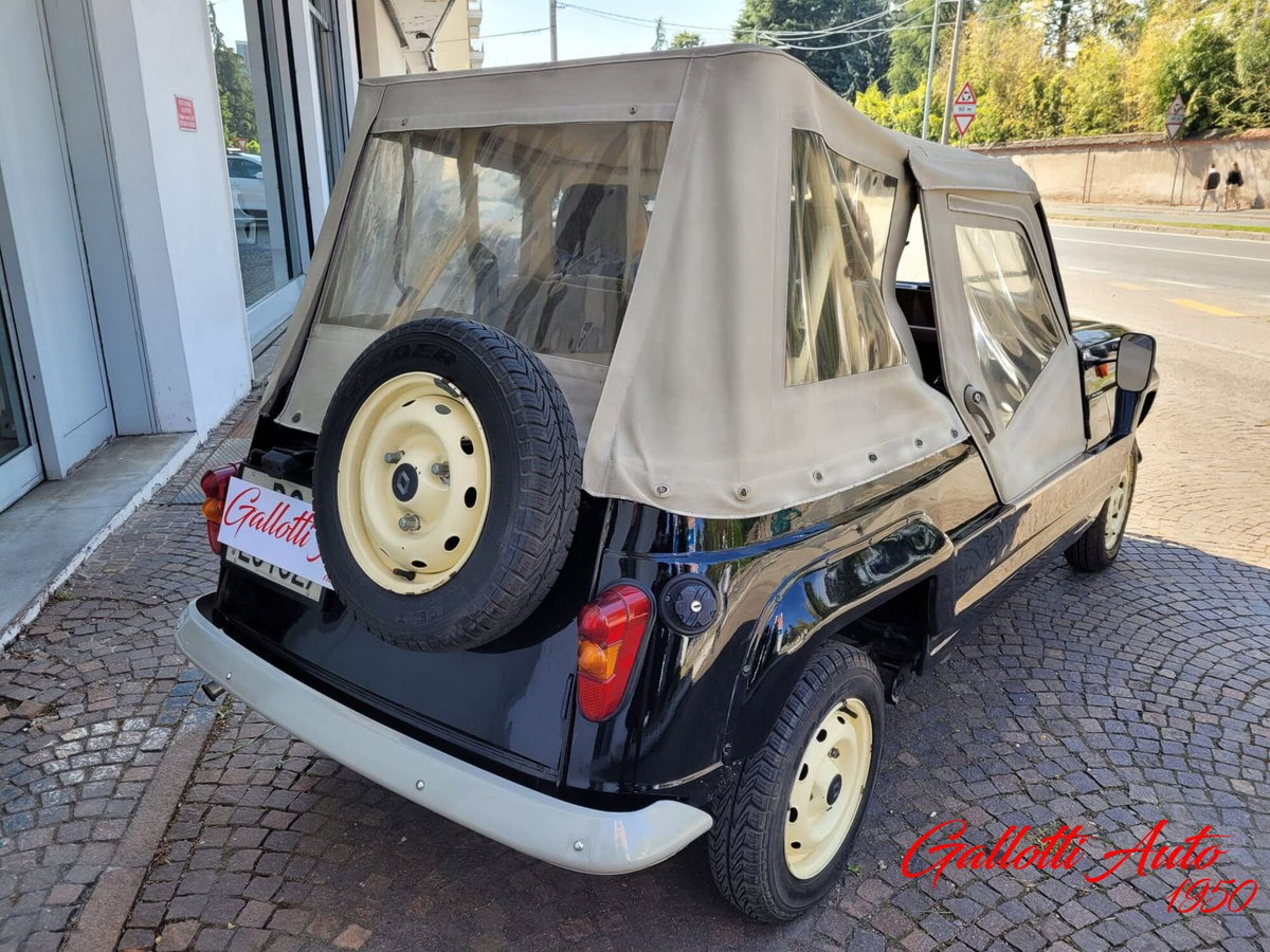 Renault 4 Cabrio Frog (6)