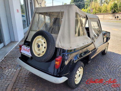 Renault 4 Cabrio Frog (6)