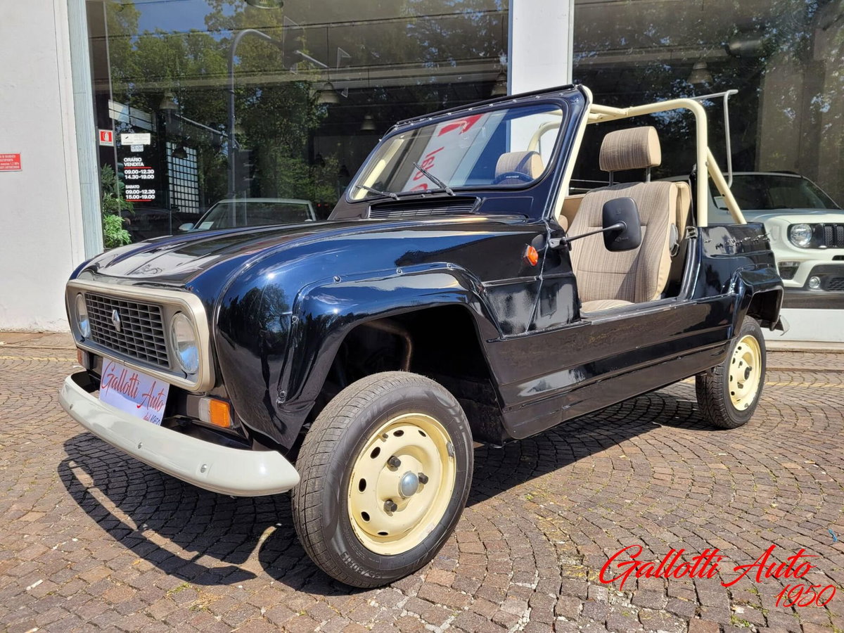 Renault 4 Cabrio Frog (7)