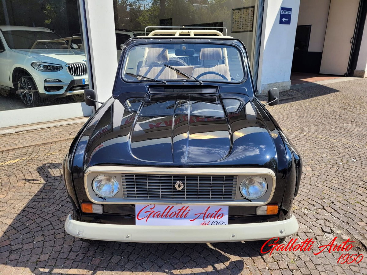 Renault 4 Cabrio Frog (8)