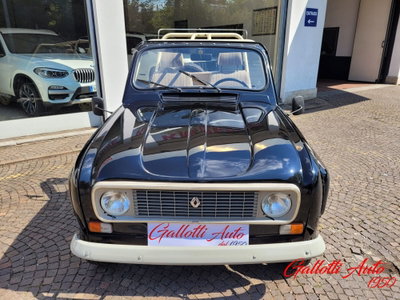 Renault 4 Cabrio Frog (8)