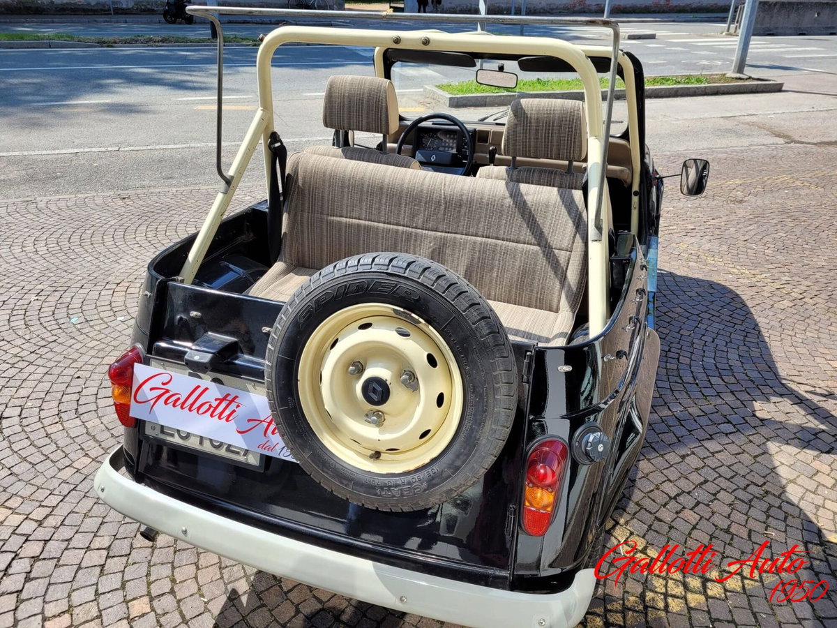 Renault 4 Cabrio Frog (9)