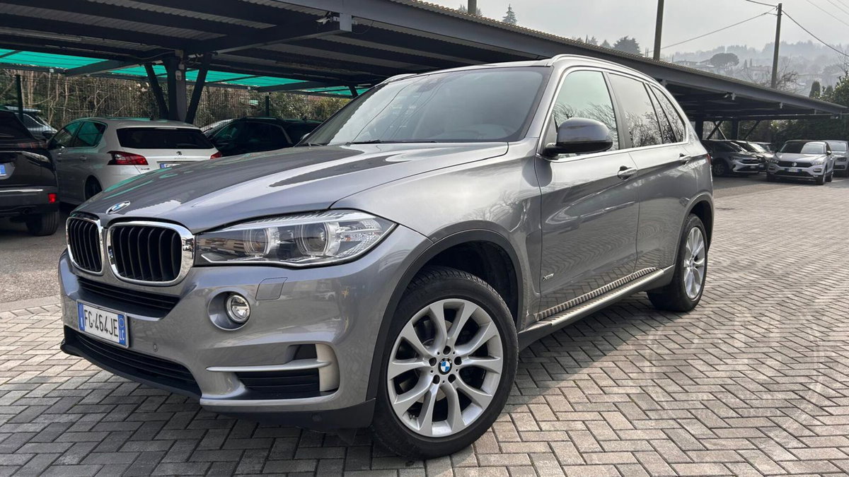 BMW X5 sDrive25d Business (3)
