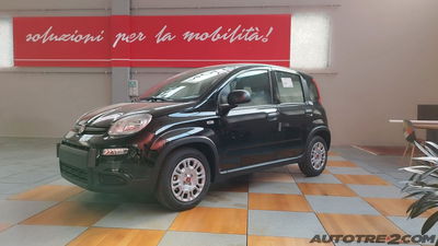 Fiat Panda Cross Cross 1.0 FireFly S&S Hybrid nuova