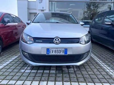 Volkswagen Polo 1.2 TDI DPF 5 p. BlueMotion 89g usata