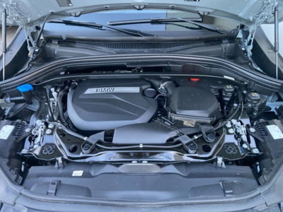 BMW X2 xdrive 20d 48V MSport Pro auto (20)