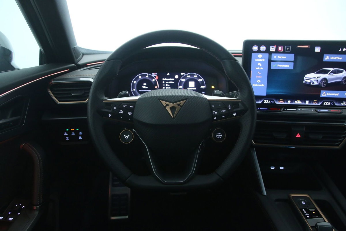 Cupra Formentor Formentor 2.0 TDI (10)