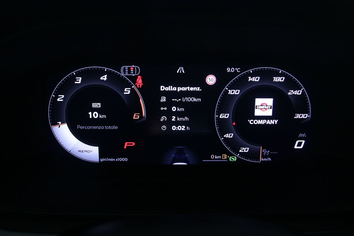 Cupra Formentor Formentor 2.0 TDI (11)