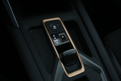 Cupra Formentor Formentor 2.0 TDI (15)