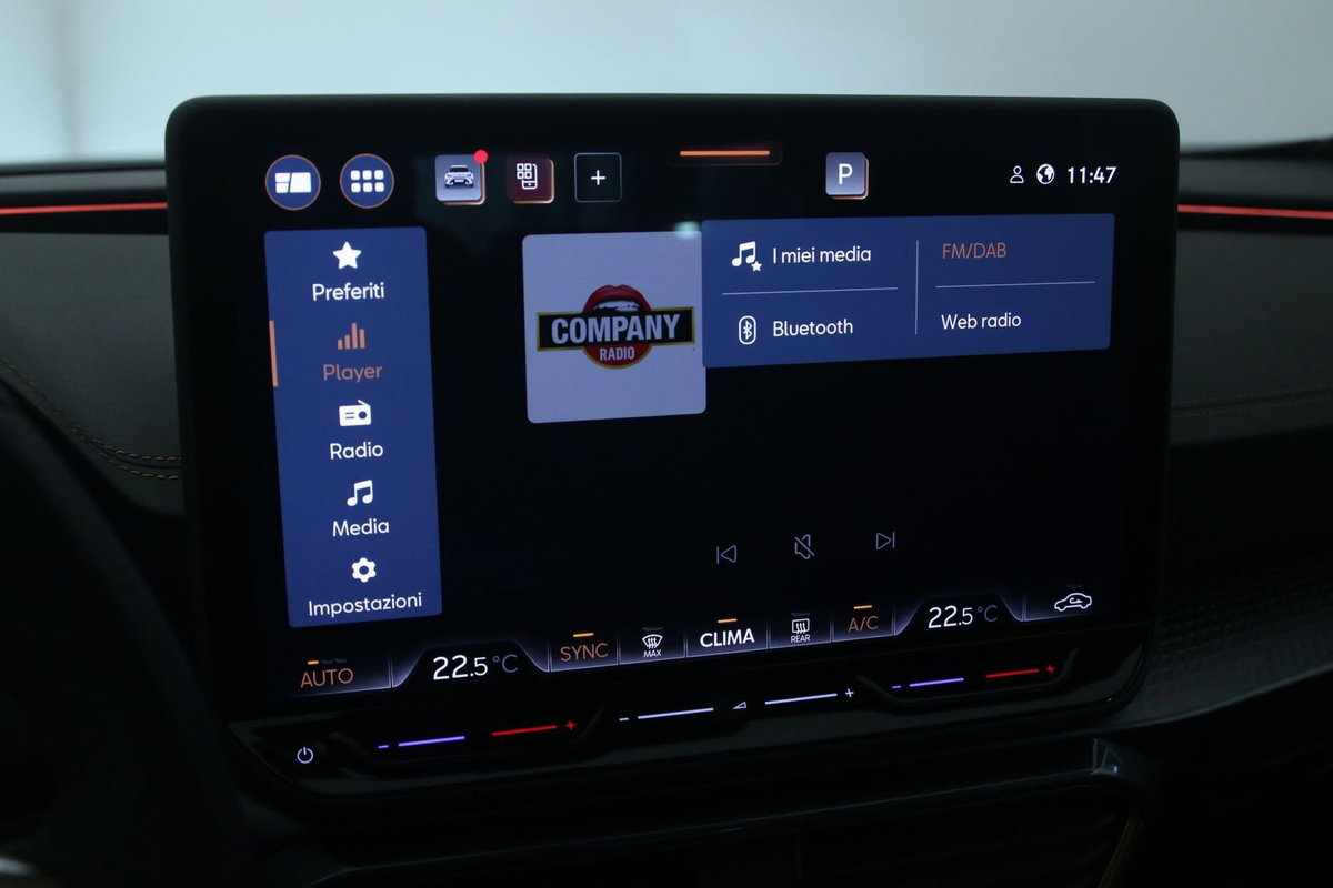 Cupra Formentor Formentor 2.0 TDI (16)