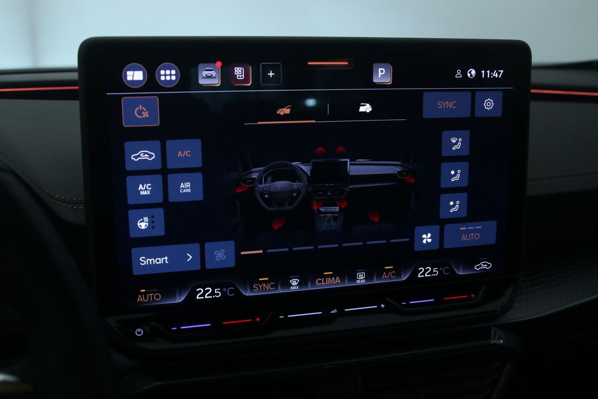 Cupra Formentor Formentor 2.0 TDI (19)