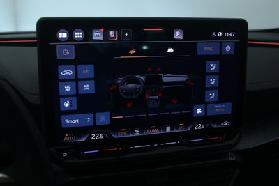 Cupra Formentor Formentor 2.0 TDI (19)