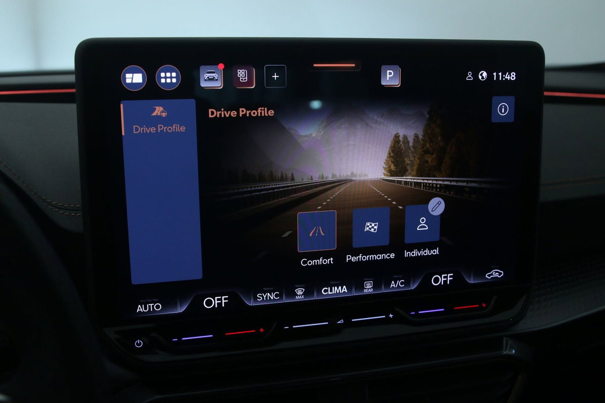 Cupra Formentor Formentor 2.0 TDI (20)