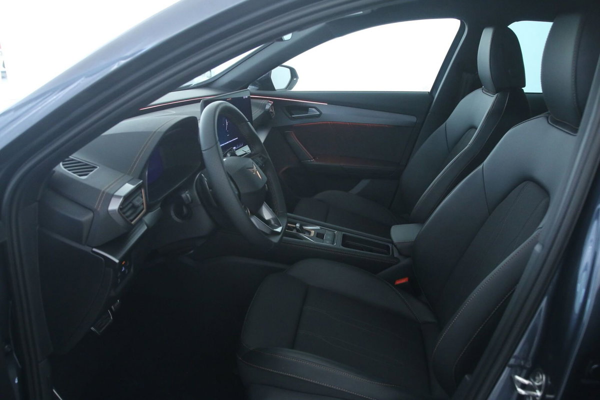 Cupra Formentor Formentor 2.0 TDI (7)