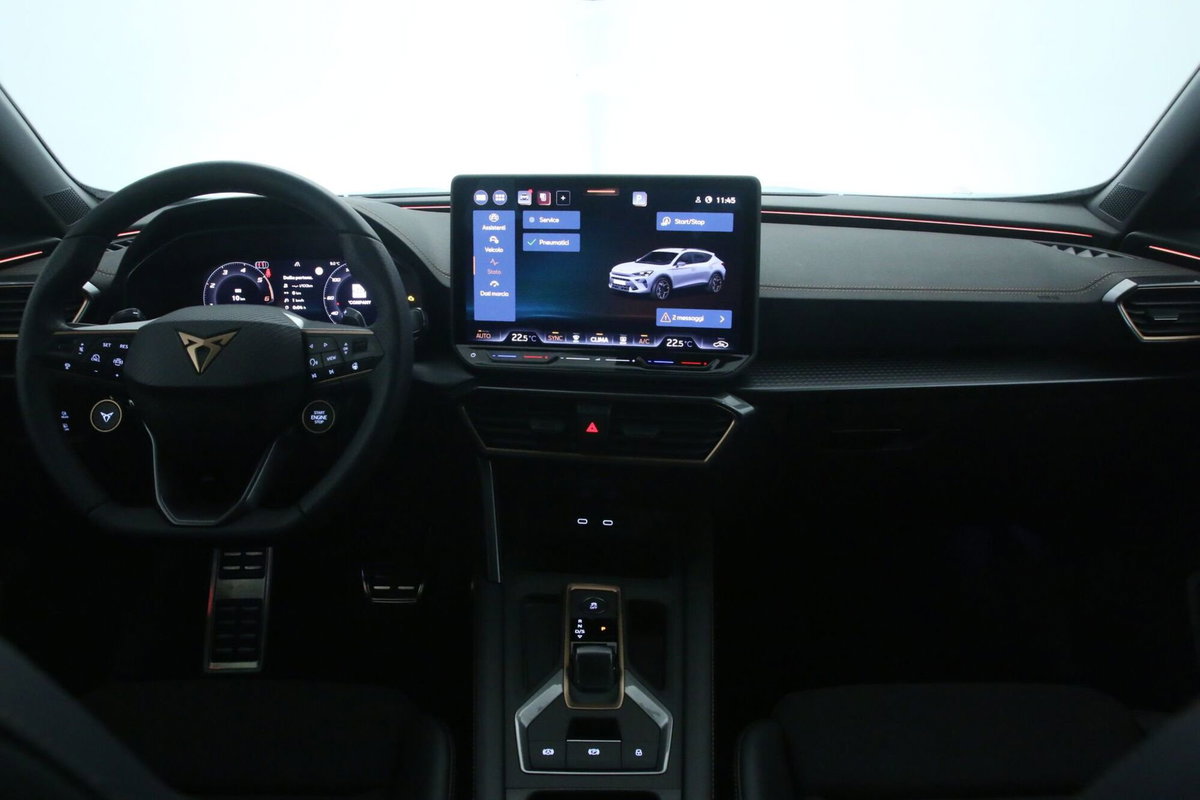 Cupra Formentor Formentor 2.0 TDI (9)