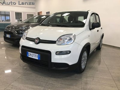 Fiat Panda 1.0 firefly hybrid s&s 70cv 5p.ti usata