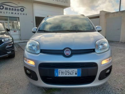 Fiat Panda 1.2 Lounge usata