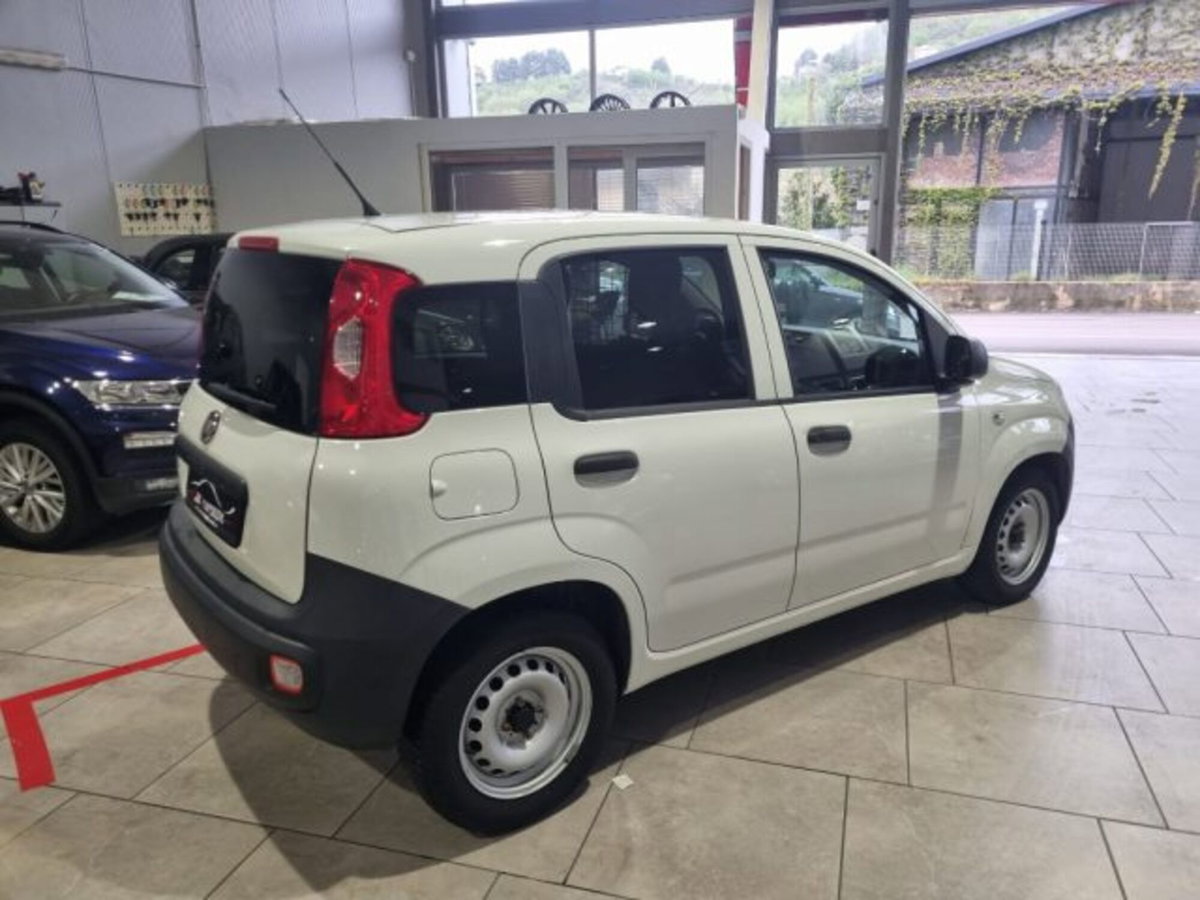 Fiat Panda 1.3 MJT 4x4 Pop Van 2 posti (3)