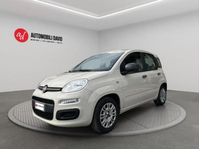 Fiat Panda 1.2 Easy usata